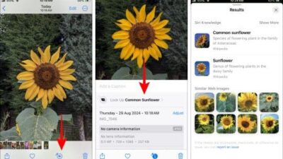 Unveiling the iPhone’s Lens Rival: A Comprehensive Guide to Visual Search Alternatives